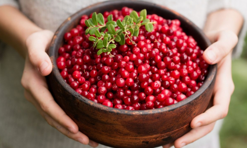 Их едят все долгожители: топ-5 самых полезных ягод – добавьте их в рацион в июне